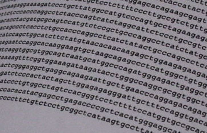 humán genom